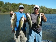 image Largemouth Bass & Cat 005.JPG